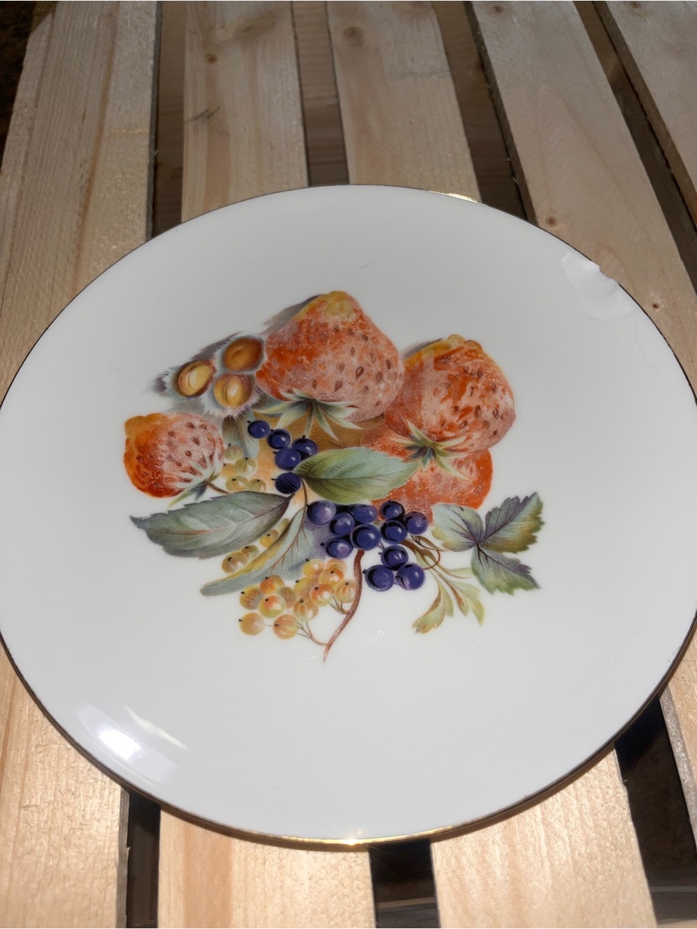 White Porcelain Fruit-Decor Dinner Plate with Gold Rim